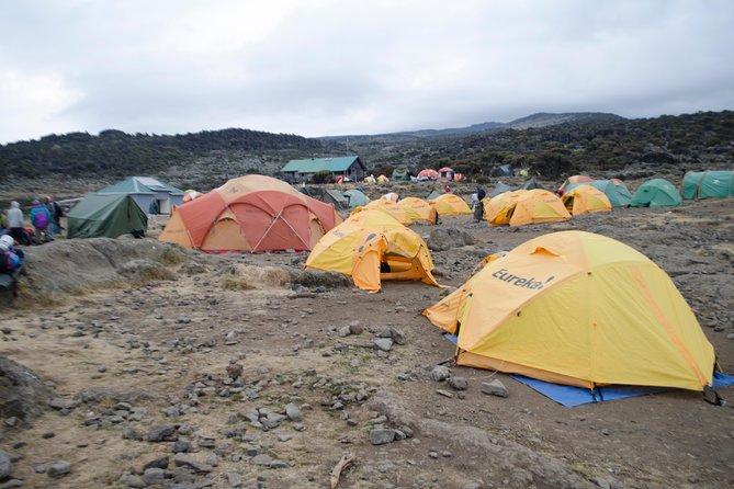 Kilimanjaro Lemosho Route 8 Days - Day 3: Shark’s Tooth and the high desert