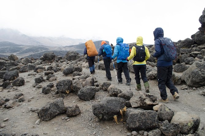 Kilimanjaro Lemosho Route 8 Days - Day 4: Lava Tower and the drop into Barranco