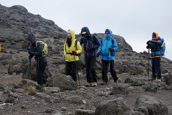 Kilimanjaro Lemosho Route 8 Days - Day 5: The Barranco Wall and Karanga Valley