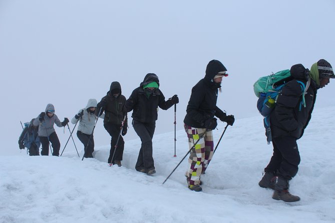 Kilimanjaro Lemosho Route 8 Days - Day 7: Mweka Forest and the return to Arusha
