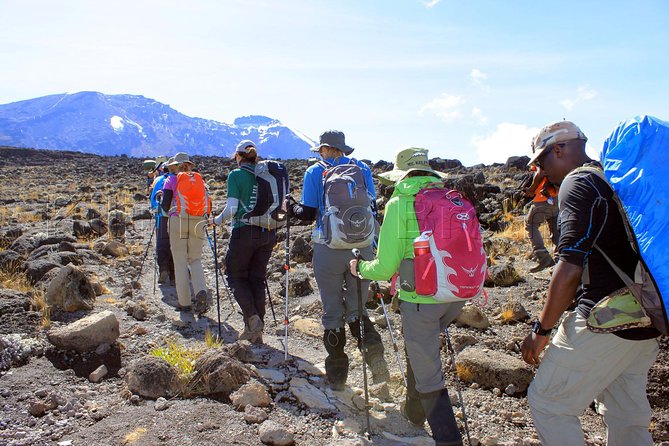 Kilimanjaro-lemosho Route 8 Days Itinerary - Day 6: The Barranco Wall and Karanga Valley