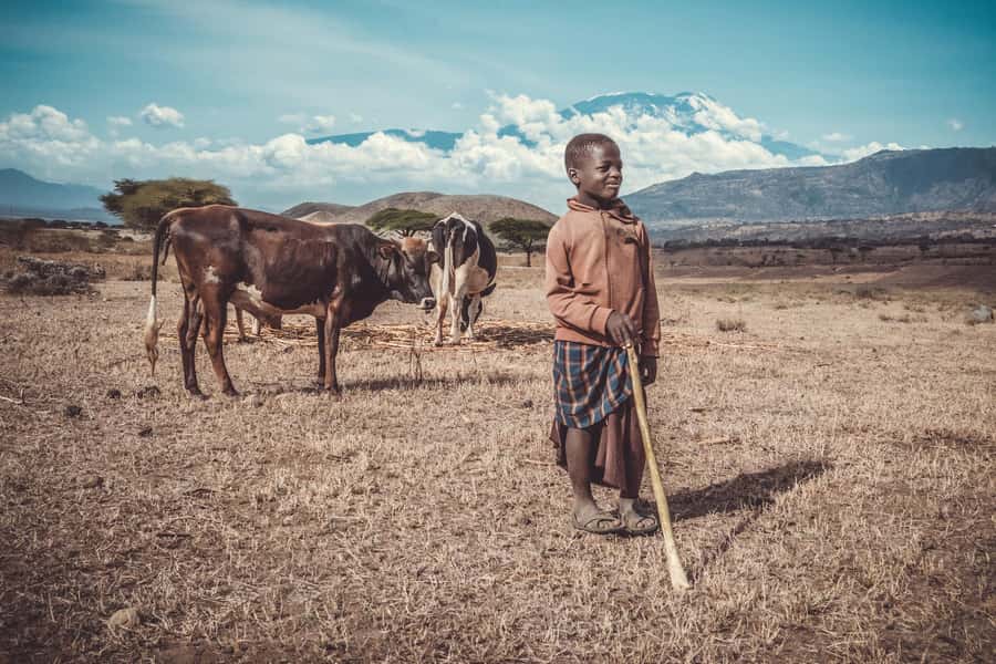 Kilimanjaro: Maasai Village Visit, Waterfalls, & Coffee Tour - Materuni village and the walk to an 80-meter waterfall