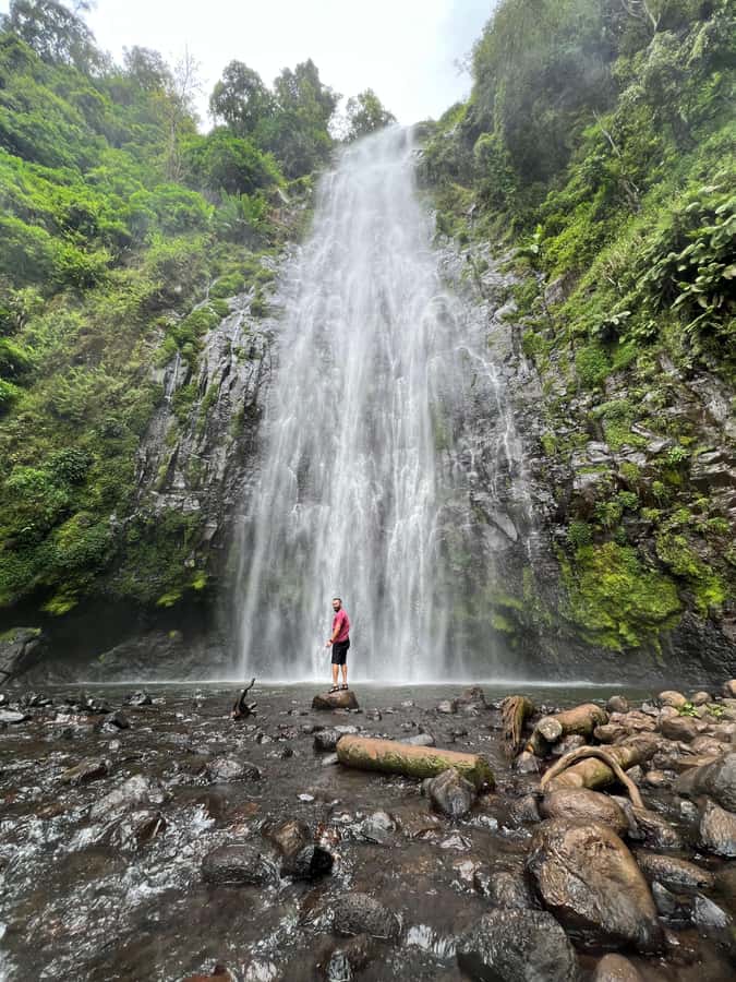 Kilimanjaro: Maasai Village Visit, Waterfalls, & Coffee Tour - A hot Chagga lunch and a hands-on coffee lesson