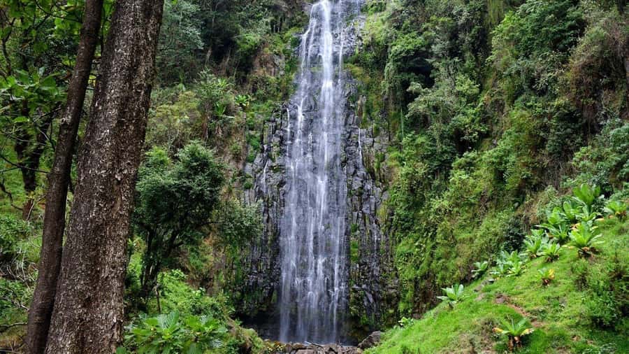 Kilimanjaro: Maasai Village Visit, Waterfalls, & Coffee Tour - Is $185 good value?