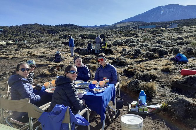 KILIMANJARO MACHAME ROUTE, (Climb 7days) - Day 6: Descent through montane forest and return to Arusha