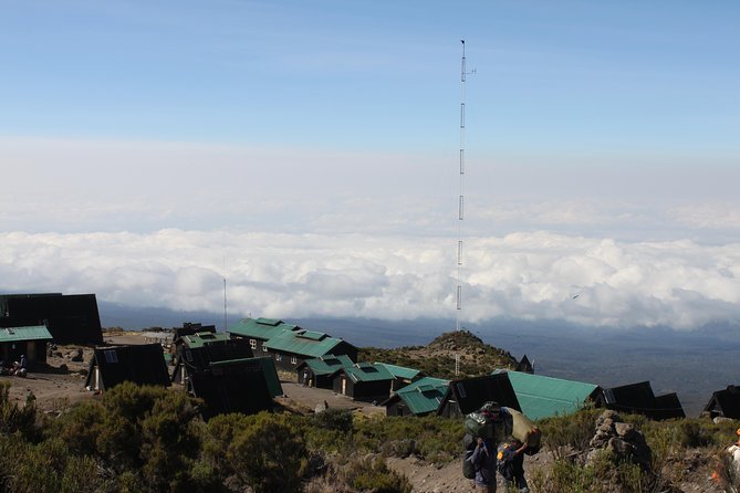 Kilimanjaro Marangu Route 6 Days - Day 5: Gillman’s Point, Uhuru Peak, and the long return