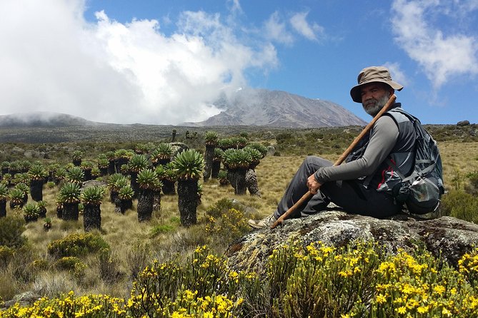 Kilimanjaro Marangu Route Day Tour - Walking through Kilimanjaro’s montane forest