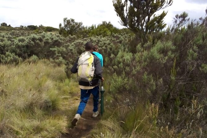 Kilimanjaro National Park Day Trip - What the $250.42 price includes