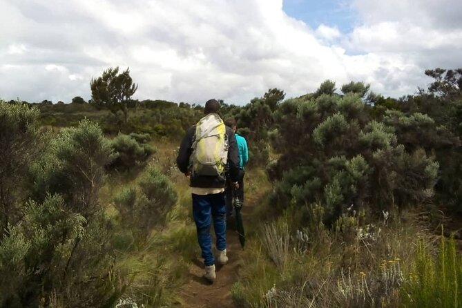 Kilimanjaro National Park Day Trip - Who will enjoy this walk most