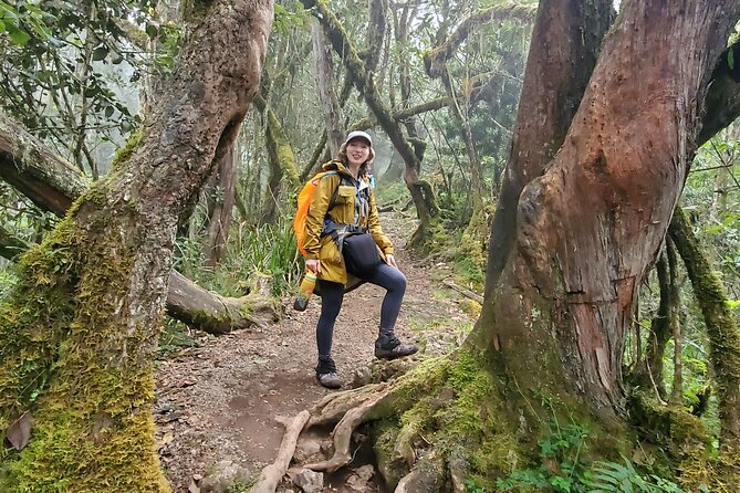 Kilimanjaro Northern Circuit Route 8 Days - Key points to know before you book