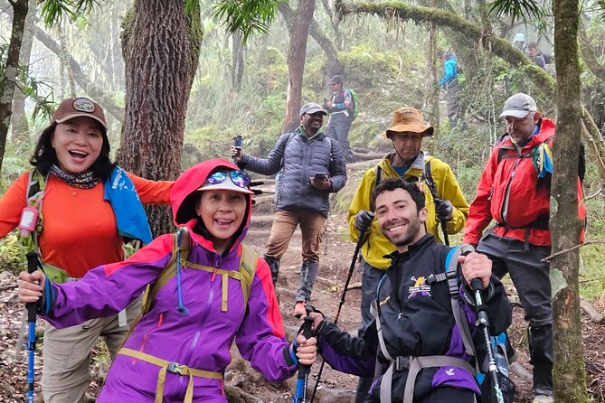 Kilimanjaro Northern Circuit Route 8 Days - Day 1: Lemosho forest and the first camp