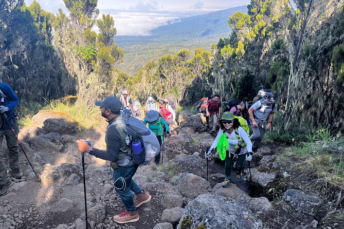 Kilimanjaro Northern Circuit Route 8 Days - Day 4: The remote northern valleys