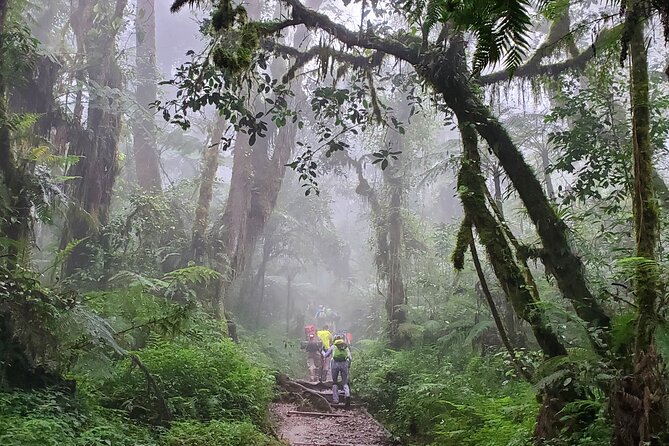 Kilimanjaro Northern Circuit Route 8 Days - Day 7: Gillman’s Point, Stella Point, and Uhuru Peak