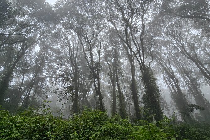 Kilimanjaro Northern Circuit Route 8 Days - Day 2: Crossing toward the Shira Plateau