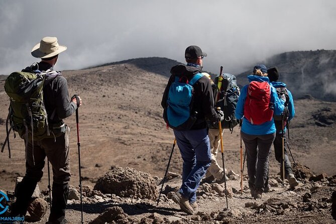 Kilimanjaro Private 2 Days Hiking Tour - What the positive feedback tells me