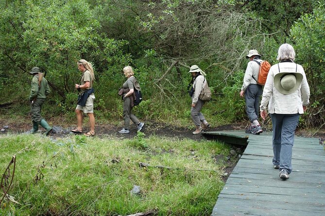 Kilimanjaro Private 2 Days Hiking Tour - Day one: from Marangu Gate to Mandara Hut