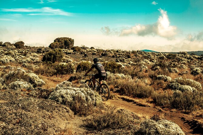 Kilimanjaro Shira Plateau E-Bike Day Trip - Lunch, water, and the value of the $399 price