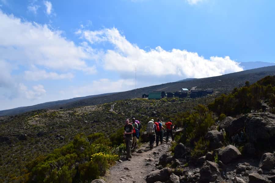 Kilimanjaro: Shira plateau to Cathedral point 3872m Day hike - Walking across the Shira Plateau
