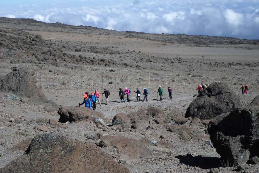 Kilimanjaro: Shira plateau to Cathedral point 3872m Day hike - Who should choose this Kilimanjaro hike?