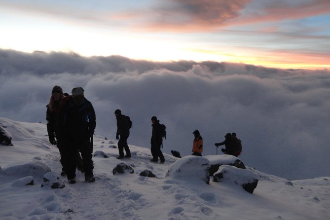 Kilimanjaro Summit Challenge: 6 Days via Marangu Route - Day 4: Horombo to Kibo Hut