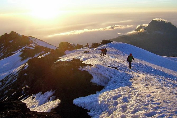 Kilimanjaro Summit Challenge: 6 Days via Marangu Route - Day 6: Horombo to Marangu Gate and Moshi