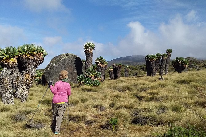 Kilimanjaro Summit Challenge: 6 Days via Marangu Route - What the $2,213 price covers