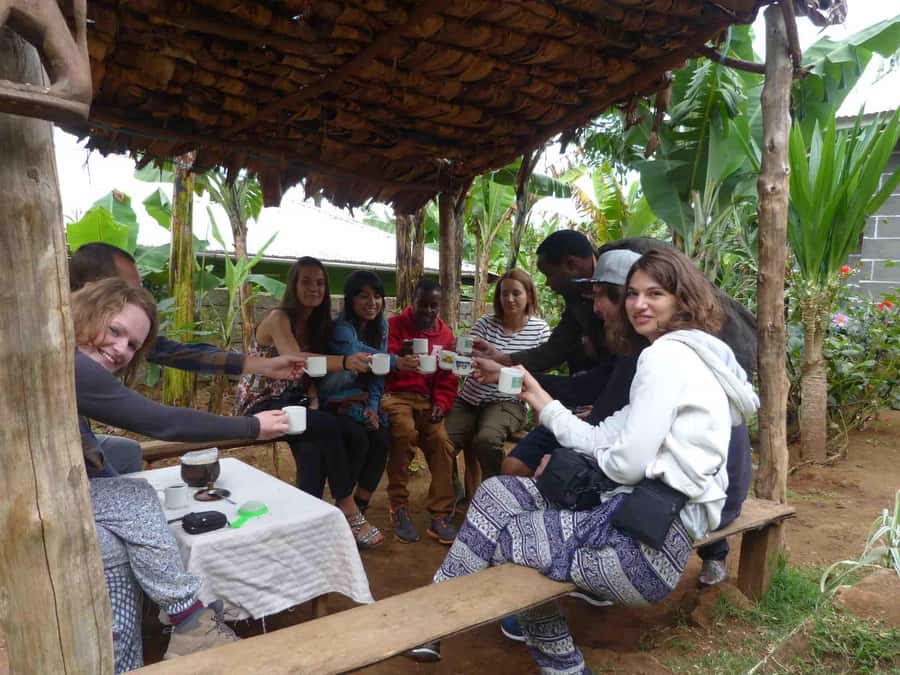 Kilimanjaro: Village Walk, Coffee Tour, Waterfall, and Lunch - Is $87 a fair price?