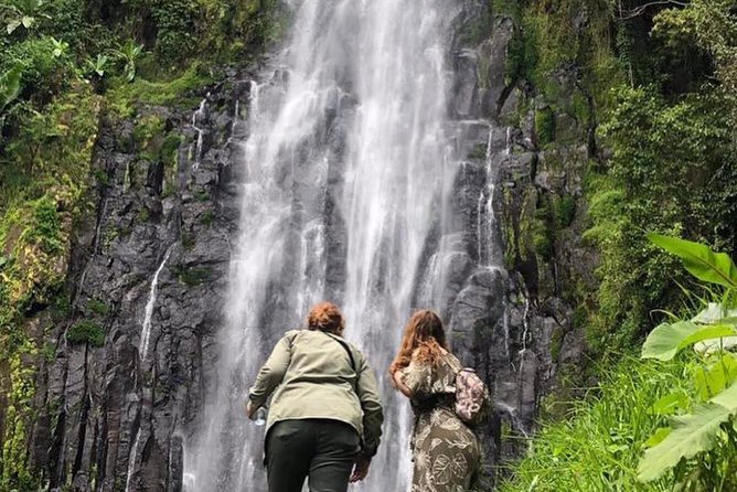 Kilimanjaro Waterfalls Hike & Moshi Hot Springs Day Trip Tour - A Kilimanjaro day built around two very different stops