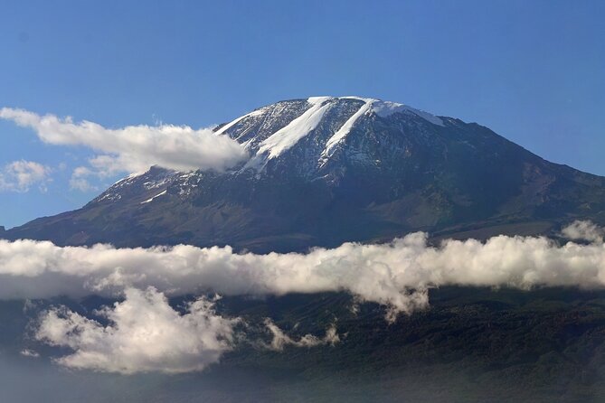 Kilimanjaro Waterfalls Hike & Moshi Hot Springs Day Trip Tour - What the guide service adds
