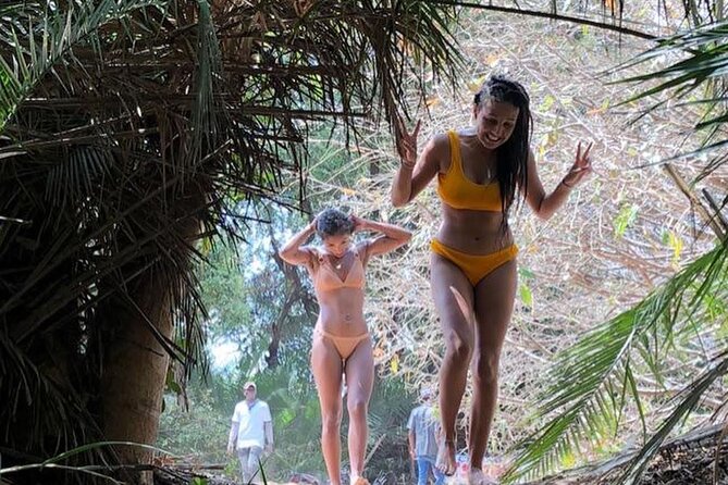 Kilimanjaro Waterfalls Hike & Moshi Hot Springs Day Trip Tour - Who will enjoy this day most