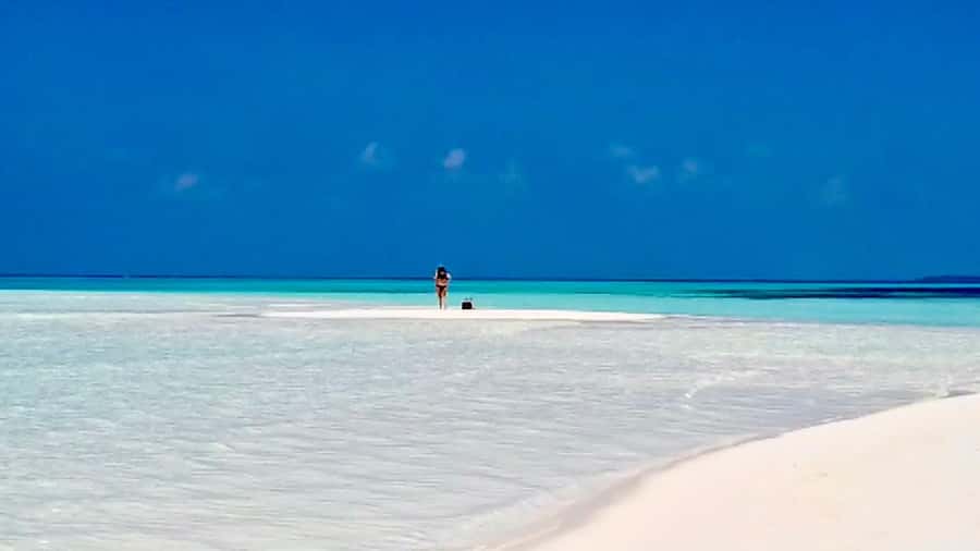 Kiwengwa/Zanzibar: Mnemba, Kuza Cave & Jozani Forest Tour - What to pack for this particular route