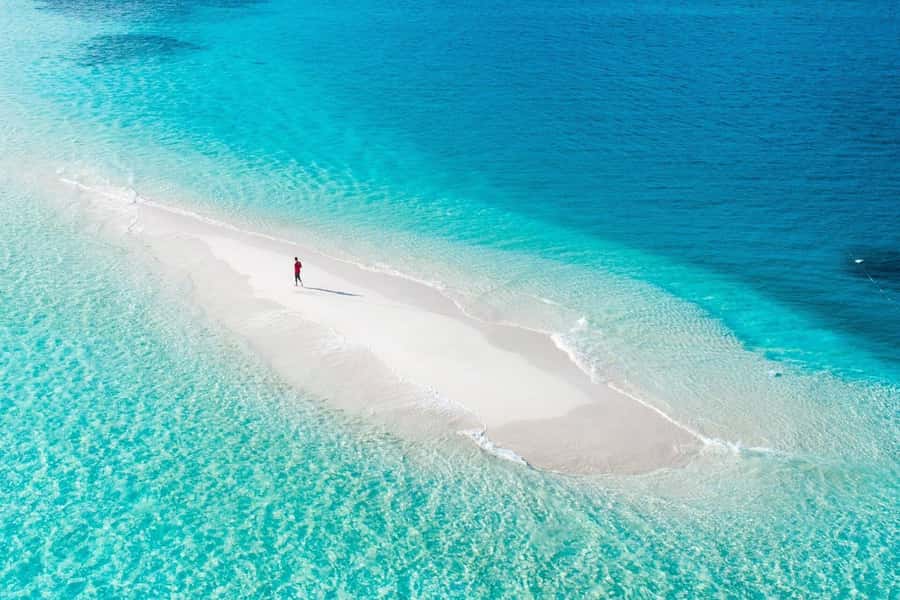 Kiwengwa/Zanzibar: Mnemba, Kuza Cave & Jozani Forest Tour - Paje Beach and the calm-water break