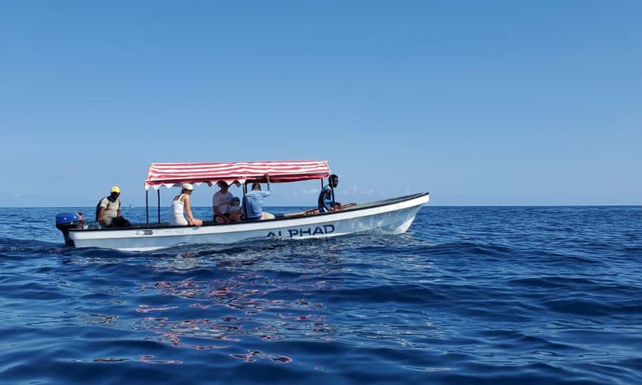 Kiwengwa/Zanzibar: Mnemba, Kuza Cave & Jozani Forest Tour - The Rock Restaurant and the final view