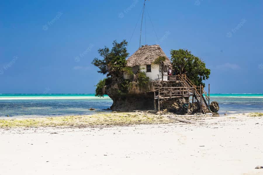 Kiwengwa/Zanzibar: Mnemba, Kuza Cave & Jozani Forest Tour - What the $135 price really covers