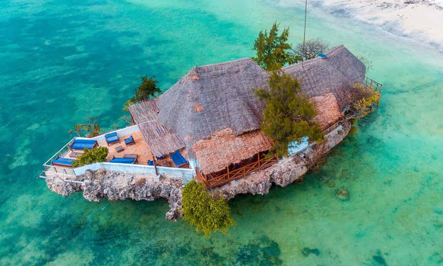 Kiwengwa/Zanzibar: Mnemba, Kuza Cave & Jozani Forest Tour - Mnemba and the search for dolphins