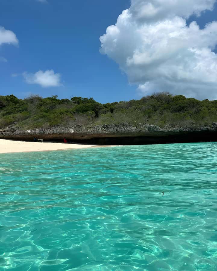 Kizimkazi: Pungume Island Snorkeling & Sandbank Tour - A mangrove lagoon adds a different kind of scenery
