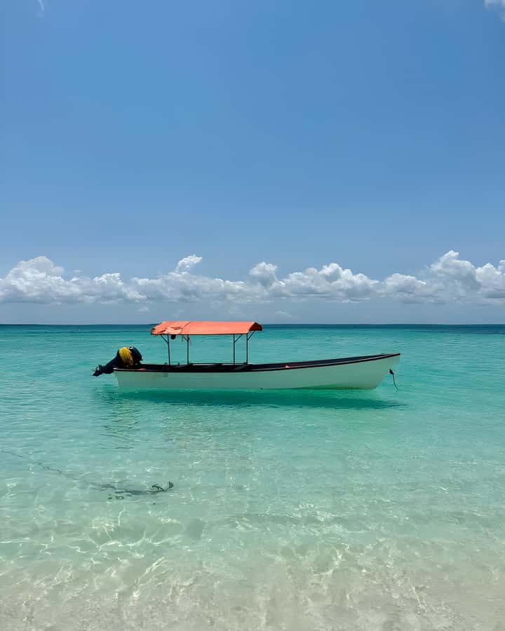 Kizimkazi: Pungume Island Snorkeling & Sandbank Tour - Seafood lunch served beside the water