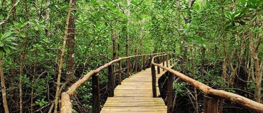 Kuza Cave, Hidden Mtende Beach & The Rock Restaurant - What the $49 price really covers