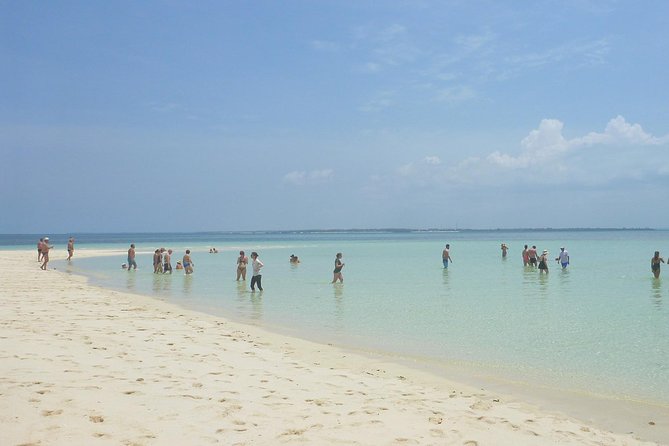 Kwale Island Dhow Sailing Tour from Zanzibar with Seafood Lunch - Walking to the centuries-old baobab tree