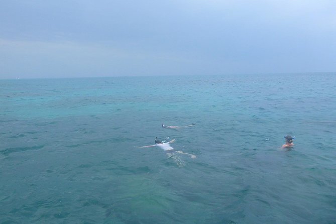 Kwale Island Dhow Sailing Tour from Zanzibar with Seafood Lunch - What the $98 price really covers