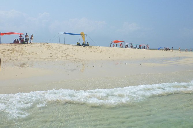 Kwale Island Dhow Sailing Tour from Zanzibar with Seafood Lunch - One hour over Menai Bay coral formations