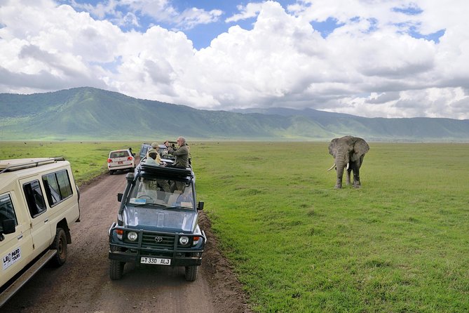 Lake Manyara National Park Full-Day Tour from Arusha - Why Lake Manyara works for a short safari