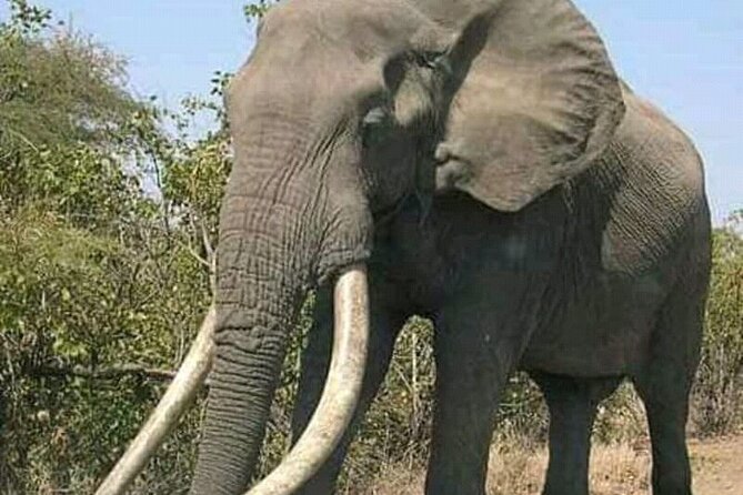 Latest Updates On The Top Best 3 day Serengeti Migration Safari - Why the open-roof Land Cruiser matters