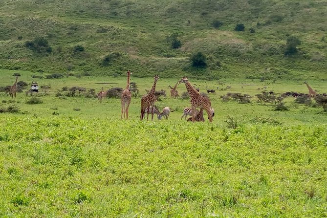 Latest Updates On The Top Best 3 day Serengeti Migration Safari - Day one: the long road from Arusha to Serengeti