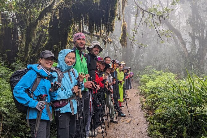 Lemosho Route 7 Days Trekking at Mount Kilimanjaro - Why the seven-day Lemosho Route works well