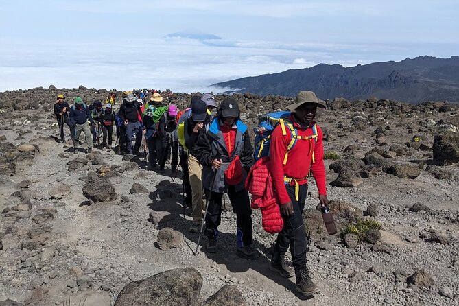 Lemosho Route 7 Days Trekking at Mount Kilimanjaro - Day 7: Mweka Gate and return to Arusha