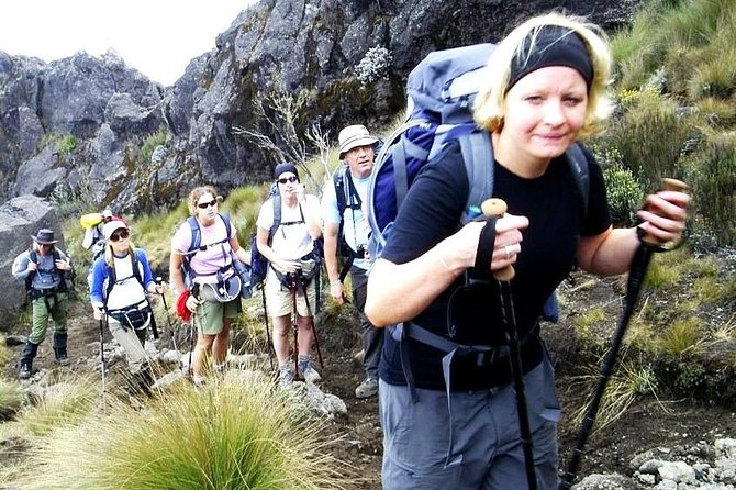 Lemosho Route 8 Days 7 Nights/Kilimanjaro Climb - Why the eight-day Lemosho plan makes sense