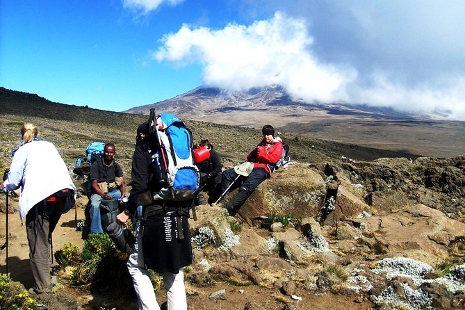 Lemosho Route 8 Days 7 Nights/Kilimanjaro Climb - Day one: Moshi to the rainforest at 9,500 feet