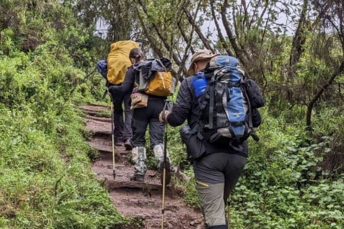 Lemosho Route 8 Days Kilimanjaro Climbing Tour - Day 1: Lemosho Gate to Mti Mkubwa Camp