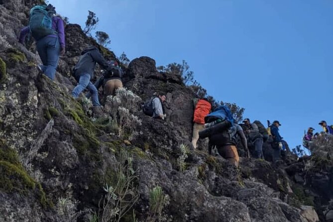 Lemosho Route 8 Days Kilimanjaro Climbing Tour - Day 4: Alpine desert, Lava Tower, and Barranco Camp